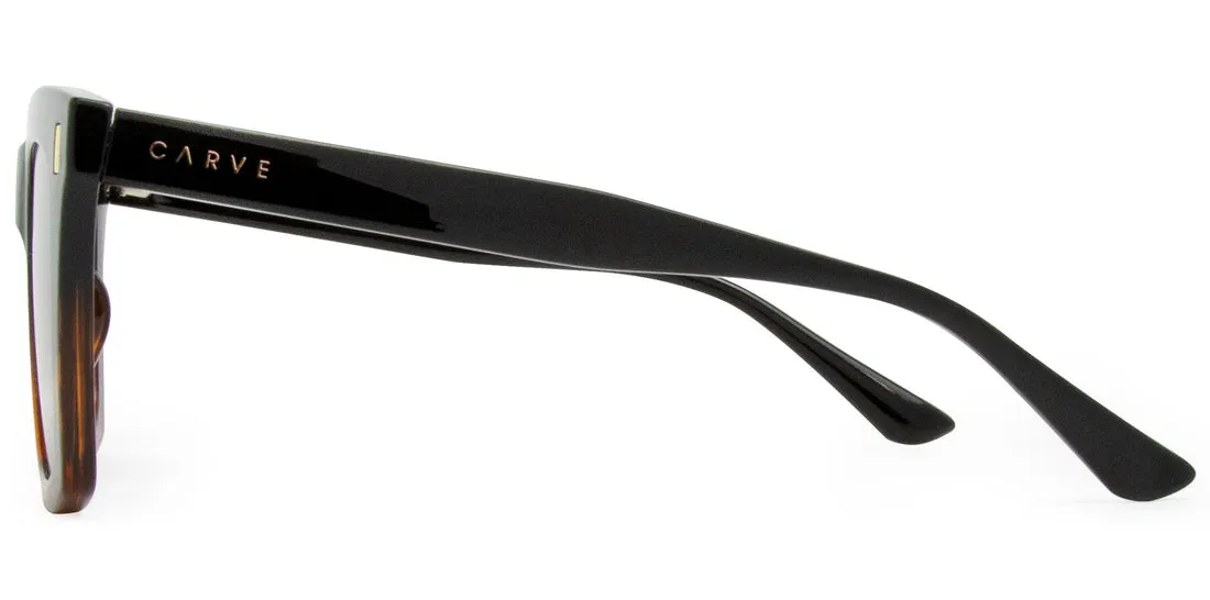 Carve Kirby Sunglasses | Black Tort to Brown with Brown Gradient Lens