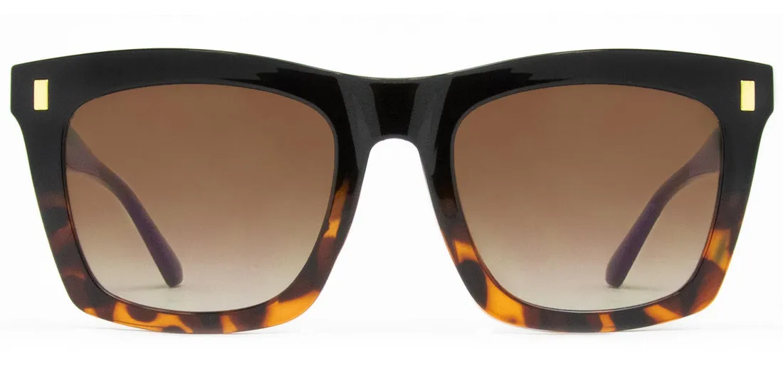 Carve Kirby Sunglasses | Black Tort to Brown with Brown Gradient Lens