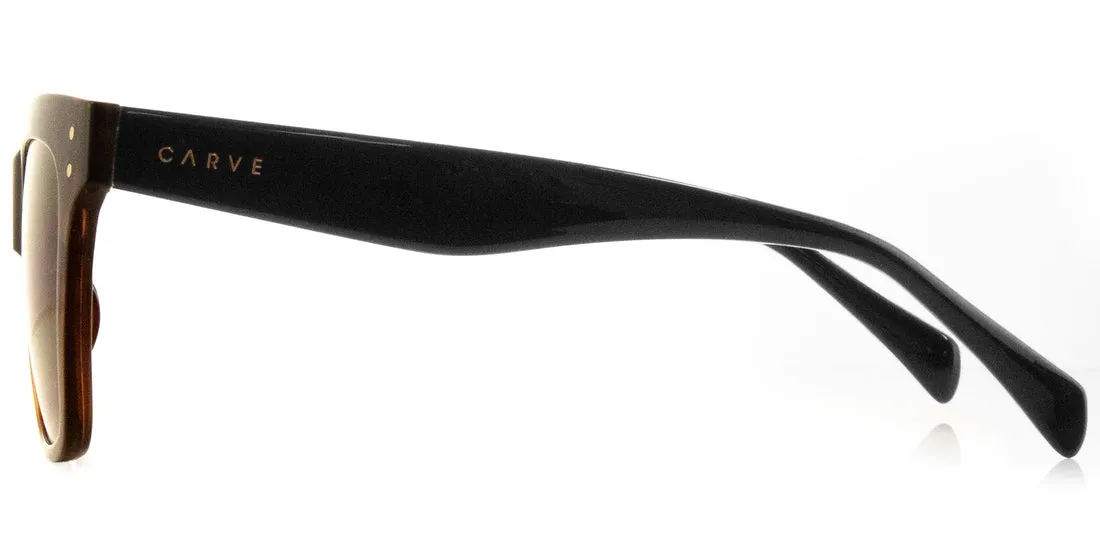 Carve Leopold Sunglasses | Gloss Tort to Tobacoo Gradient with Brown Gradient Lens