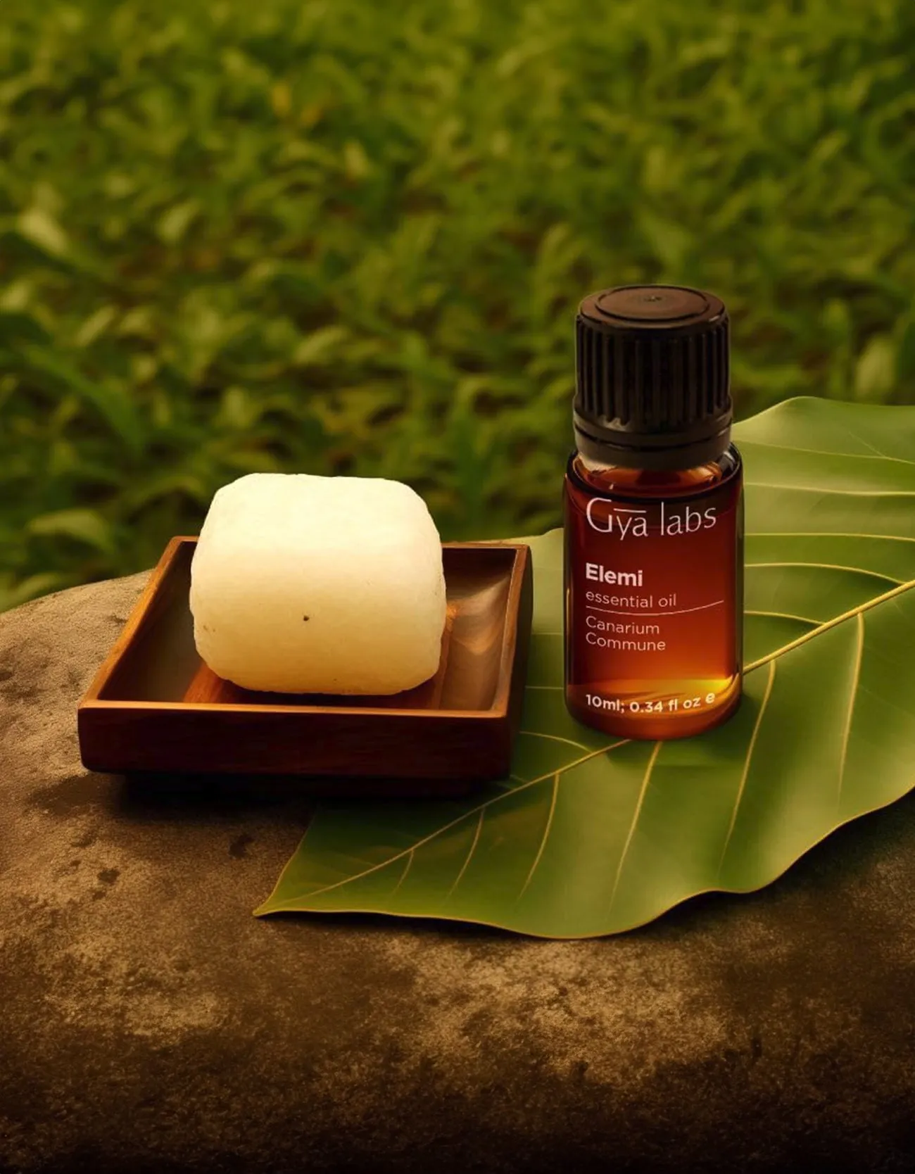Elemi Oil