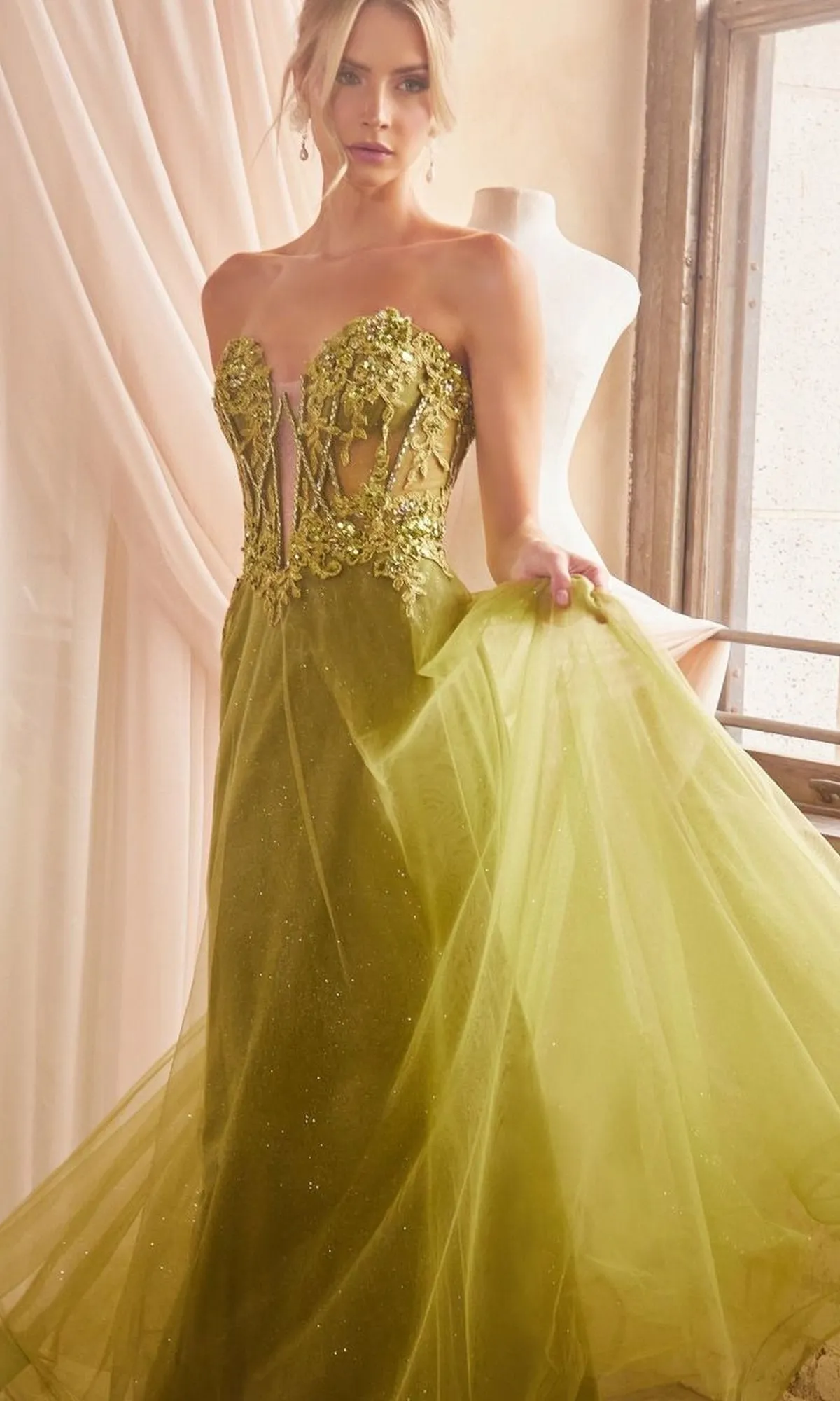 Formal Long Dress CD830 By Ladivine