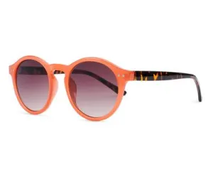 Hudson Sunglasses