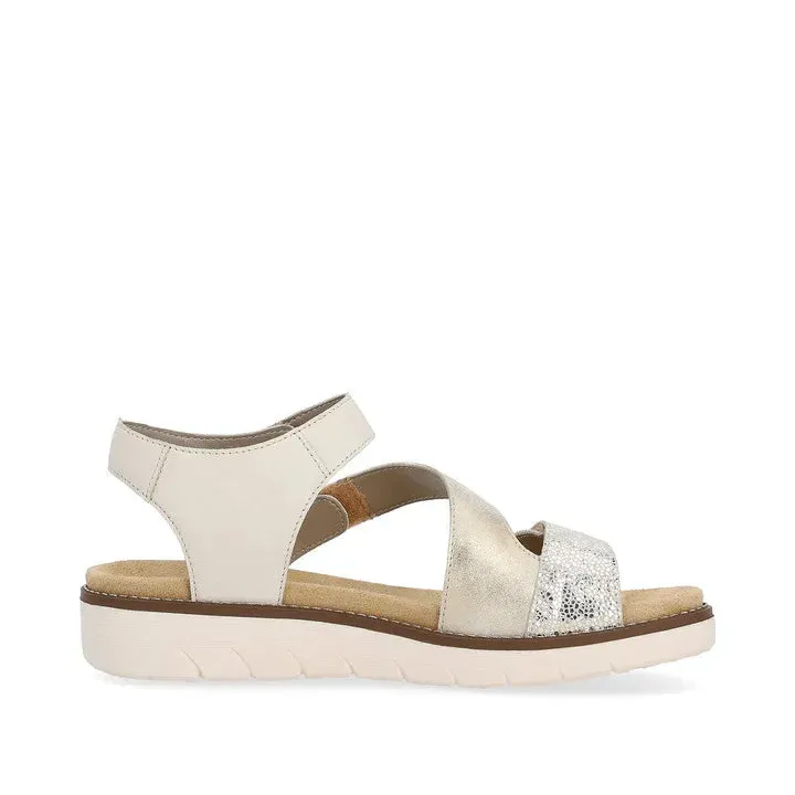 Regina 40 - Gold Multi